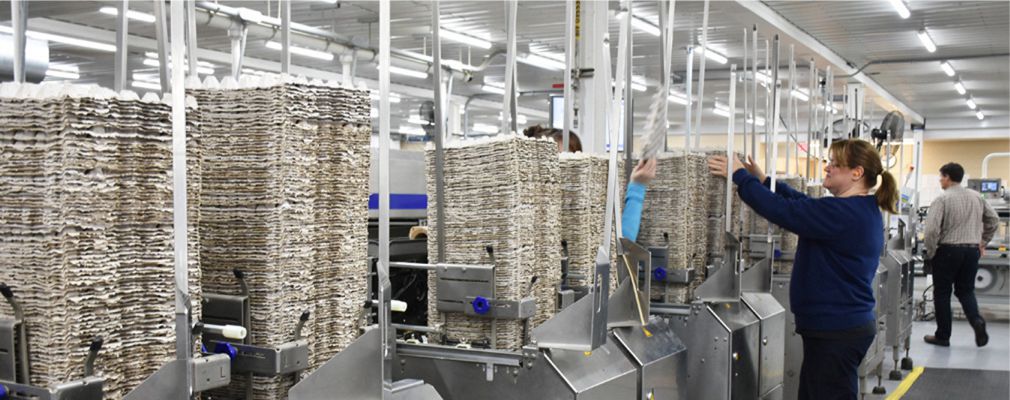Image of a processing plant