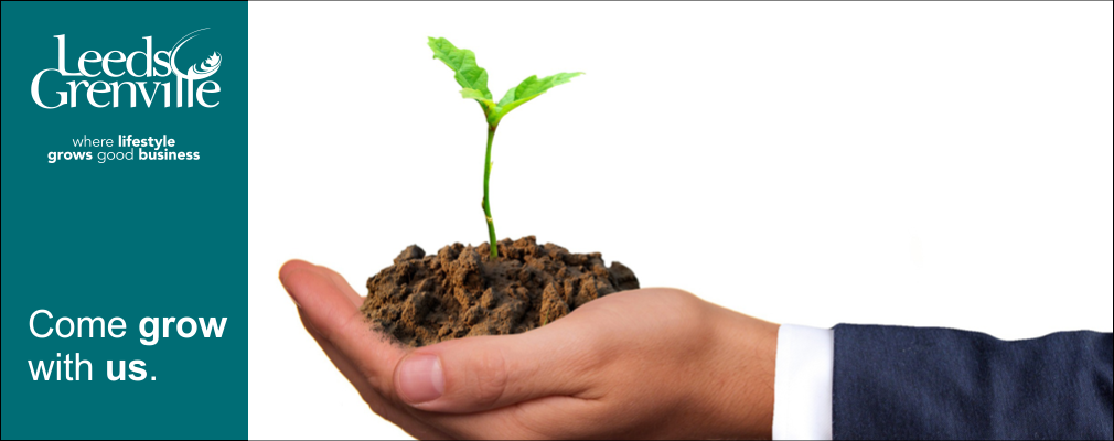 Hand holding out a plant growing in earth