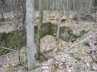 Old foundation – Limerick South