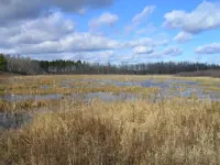 Ducks Unlimited Pond – Chalet Loop