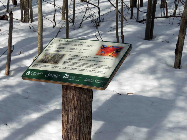 Interpretive Signage Interpretive signage along trail