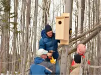 2017 Wood Duck Nesting Box Inspections