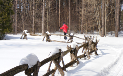 Cross country skier Image of cross country skier