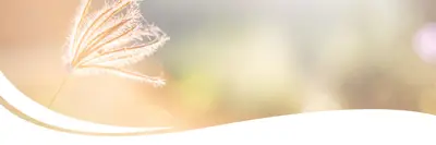 Image of a flower blowing in the breeze.