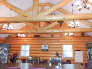 Interpretive Centre ceiling Image of ceiling beam in Interpretive Centre