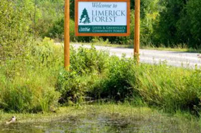 Limerick Forest Sign