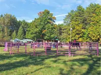 Image of pony rides for kids at the 2015 Fall open house