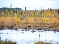 Hanlan’s Marsh Craig Rd. Limerick North – Fall