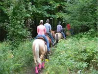 Image of a group of riders on a trail