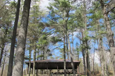 Gazebo