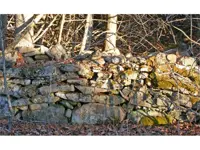Old stone fence