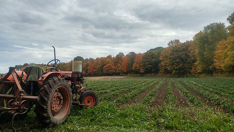 Tractor in Field