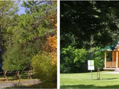 InterpretiveCentreStoryCTA.jpg