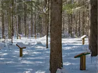 Image of story book trail
