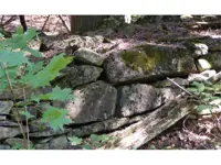 Old vine-covered stone fence