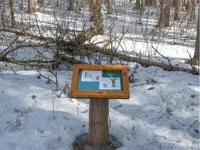 Image of story book trail