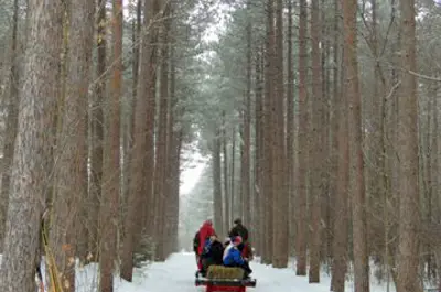 Sleigh ride