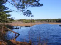 Forty Acre Trail Limerick South – Spring