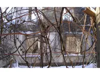 Stone walls of an old abandoned house