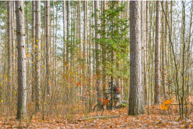 Dirt biking Image of dirt biking in forest