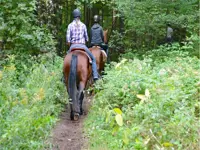 Image of two riders on a trail
