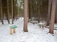 Image of story book trail