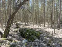 Old stone fence – Limerick South