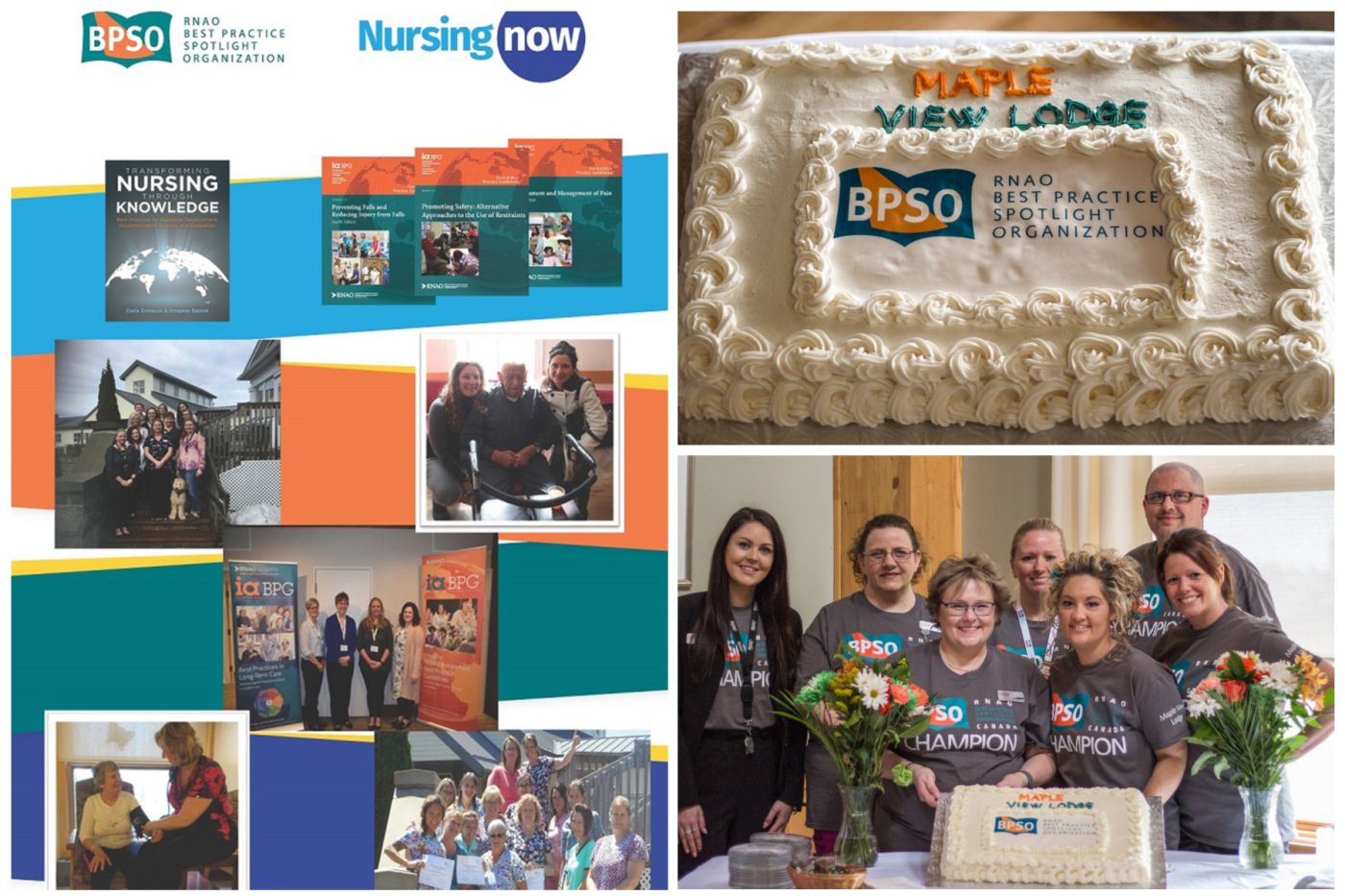 Collage RNAO-BPSO Collage RNAO-BPSO
