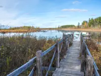 Craig Rd. Viewing Platform Limerick North – Fall