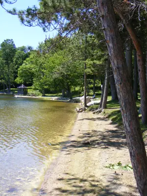 Beach and sand and trees at Sand Bay County Park - Charleston Lake