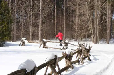 Cross country skiing