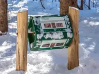 Image of loose parts station