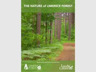 NatureofLimerickCTA.png