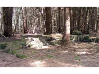 Stone foundation in red pine plantation