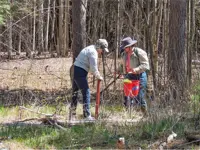 2016 Tree Planting