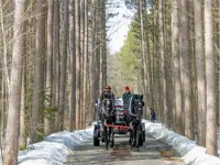 Image of horse drawn wagon