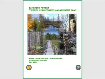 LimerickForestTwentyYearForestManPlnCTA.jpg
