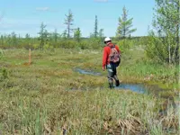 2014 Hanlan’s Marsh Hike