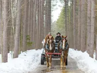 Image of horse team at 2020 open house